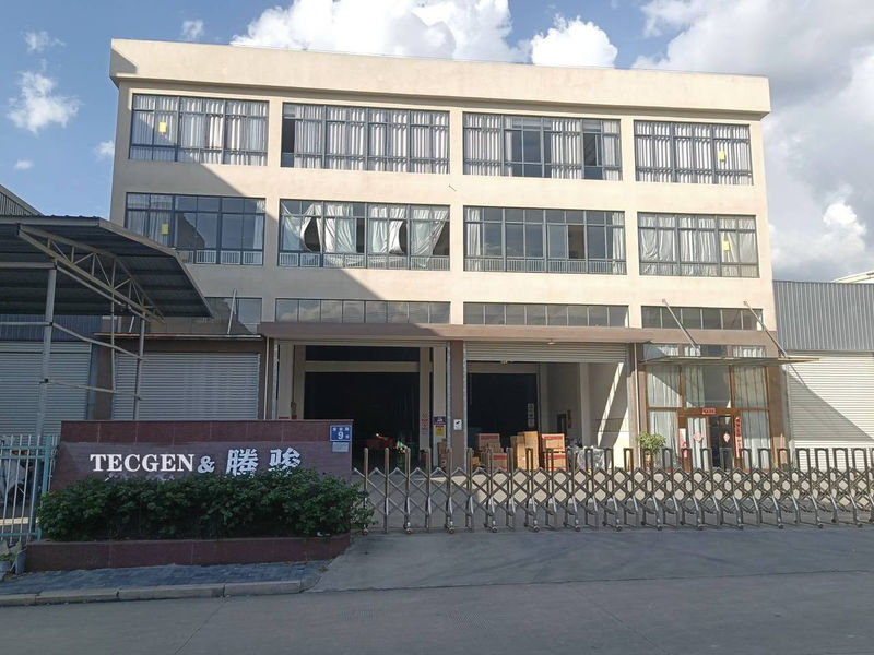 China FUJIAN TECGEN POWER CO., LTD. Bedrijfsprofiel